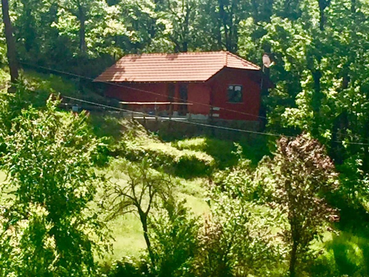 Le Murazze Holiday Houses Ponzone Exteriör bild
